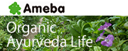Ameba Organic Ayurveda Life Blog viciet.com